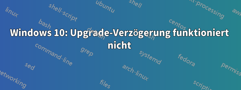 Windows 10: Upgrade-Verzögerung funktioniert nicht