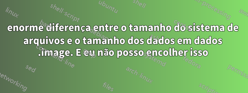 enorme diferença entre o tamanho do sistema de arquivos e o tamanho dos dados em dados .image. E eu não posso encolher isso