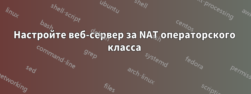 Настройте веб-сервер за NAT операторского класса