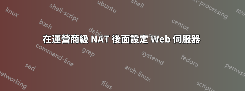 在運營商級 NAT 後面設定 Web 伺服器