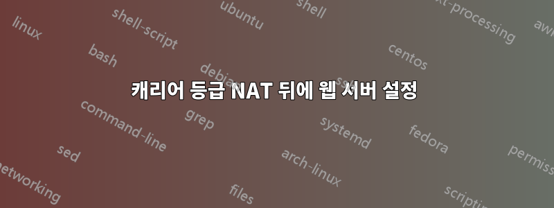 캐리어 등급 NAT 뒤에 웹 서버 설정