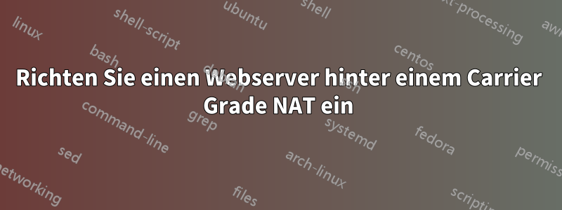 Richten Sie einen Webserver hinter einem Carrier Grade NAT ein