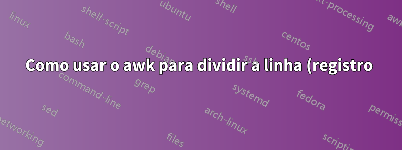 Como usar o awk para dividir a linha (registro)?