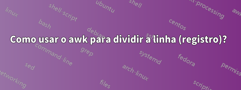Como usar o awk para dividir a linha (registro)? 