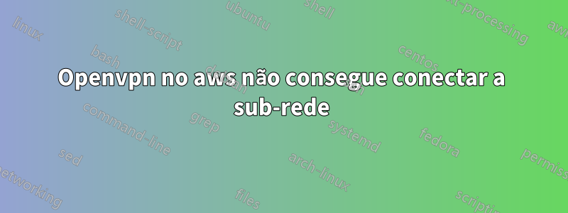 Openvpn no aws não consegue conectar a sub-rede