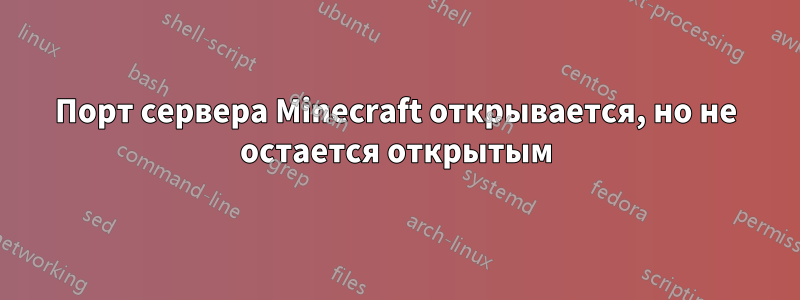 Порт сервера Minecraft открывается, но не остается открытым