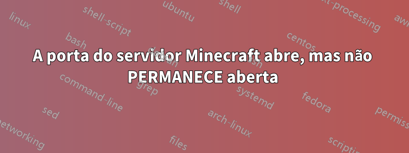 A porta do servidor Minecraft abre, mas não PERMANECE aberta