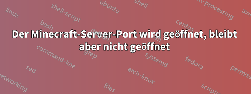 Der Minecraft-Server-Port wird geöffnet, bleibt aber nicht geöffnet