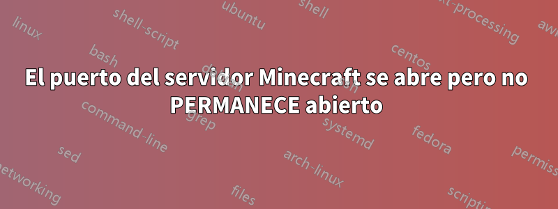 El puerto del servidor Minecraft se abre pero no PERMANECE abierto