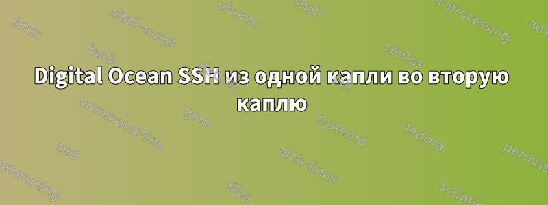 Digital Ocean SSH из одной капли во вторую каплю