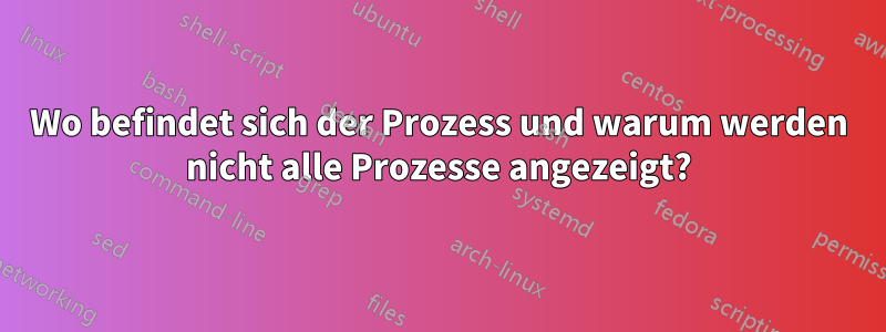 Wo befindet sich der Prozess und warum werden nicht alle Prozesse angezeigt?