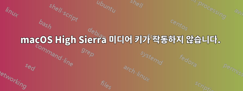 macOS High Sierra 미디어 키가 작동하지 않습니다.