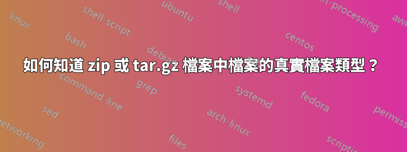如何知道 zip 或 tar.gz 檔案中檔案的真實檔案類型？
