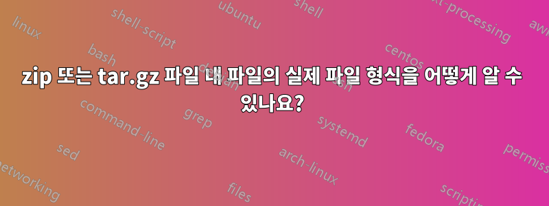 zip 또는 tar.gz 파일 내 파일의 실제 파일 형식을 어떻게 알 수 있나요?