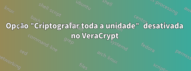 Opção "Criptografar toda a unidade" desativada no VeraCrypt