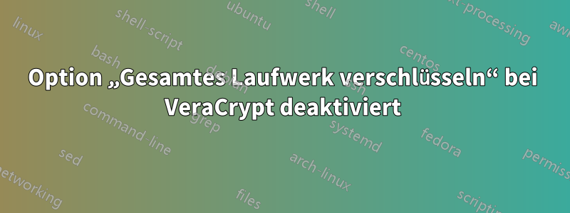 Option „Gesamtes Laufwerk verschlüsseln“ bei VeraCrypt deaktiviert