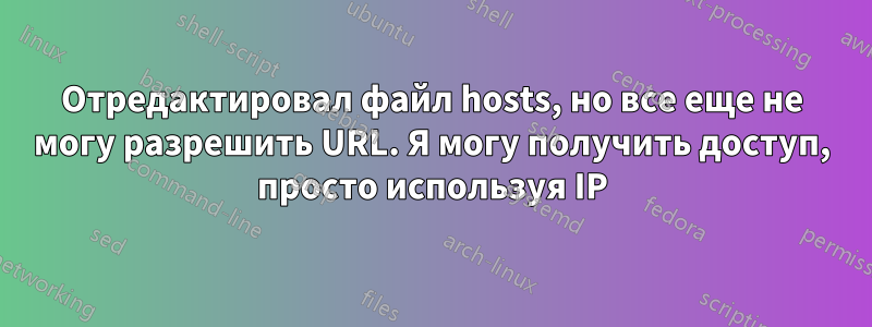 Отредактировал файл hosts, но все еще не могу разрешить URL. Я могу получить доступ, просто используя IP