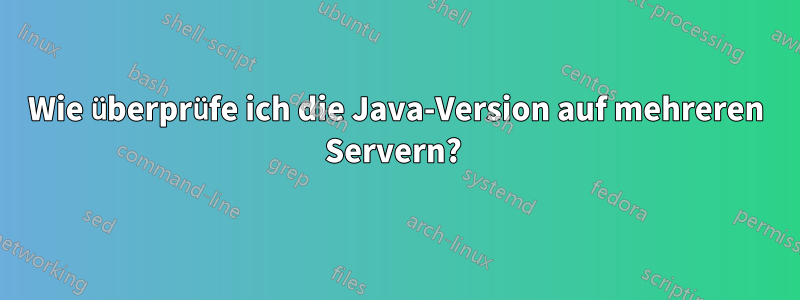 Wie überprüfe ich die Java-Version auf mehreren Servern? 