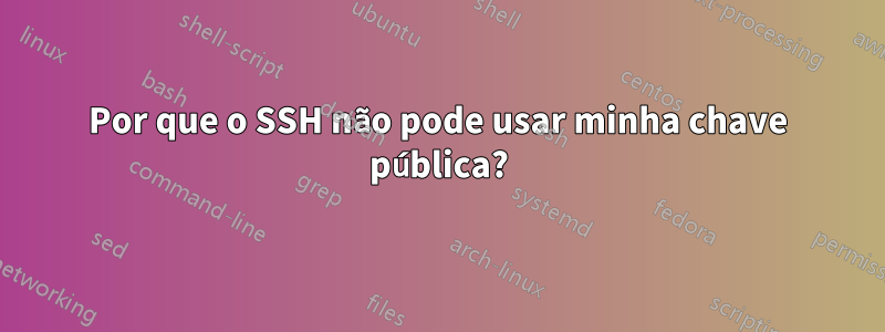 Por que o SSH não pode usar minha chave pública?