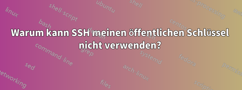 Warum kann SSH meinen öffentlichen Schlüssel nicht verwenden?