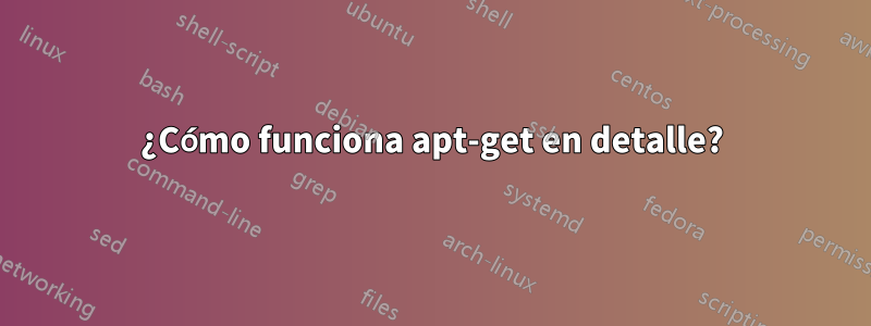 ¿Cómo funciona apt-get en detalle?