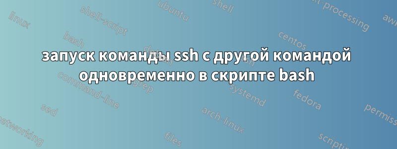 запуск команды ssh с другой командой одновременно в скрипте bash
