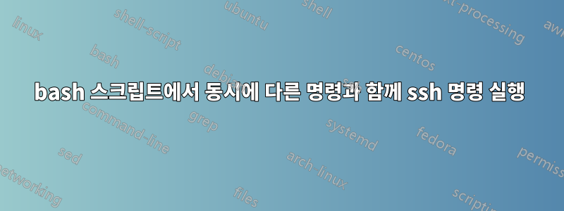 bash 스크립트에서 동시에 다른 명령과 함께 ssh 명령 실행