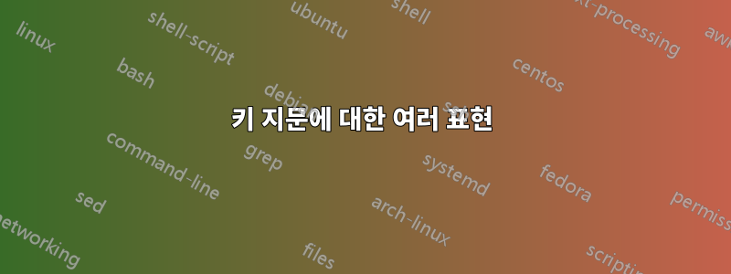 키 지문에 대한 여러 표현