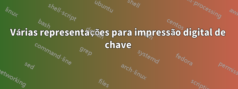 Várias representações para impressão digital de chave