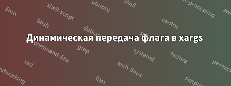 Динамическая передача флага в xargs