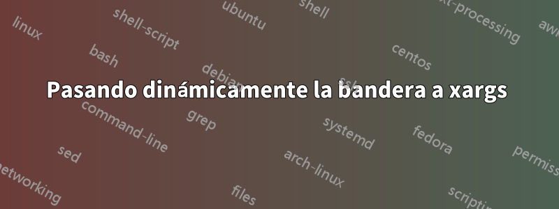 Pasando dinámicamente la bandera a xargs