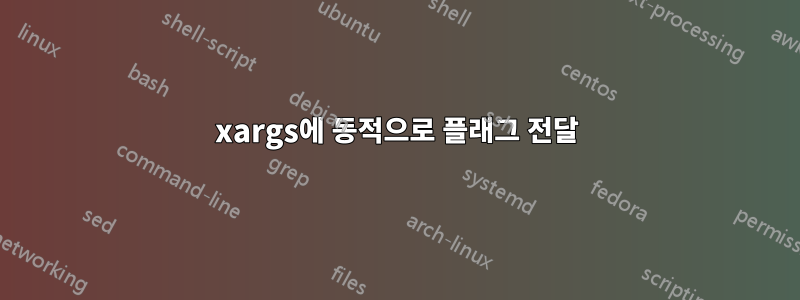 xargs에 동적으로 플래그 전달