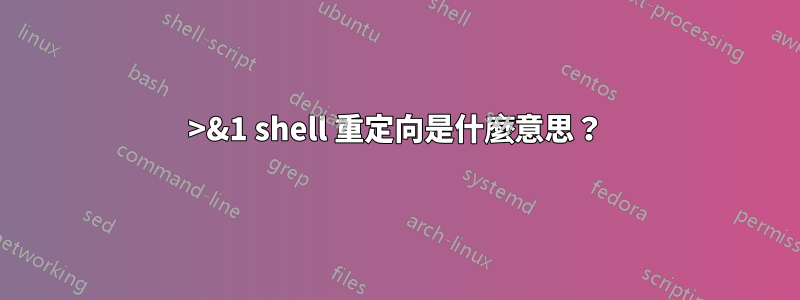 0>&1 shell 重定向是什麼意思？