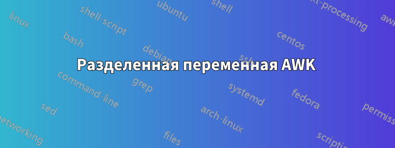 Разделенная переменная AWK