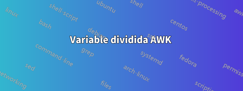 Variable dividida AWK