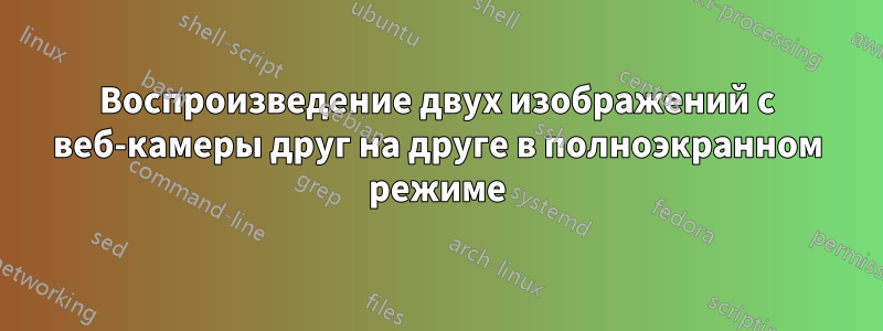 Воспроизведение двух изображений с веб-камеры друг на друге в полноэкранном режиме