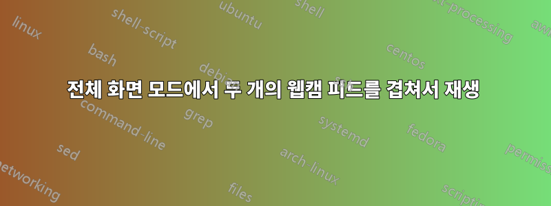 전체 화면 모드에서 두 개의 웹캠 피드를 겹쳐서 재생