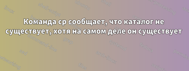 Команда cp сообщает, что каталог не существует, хотя на самом деле он существует 