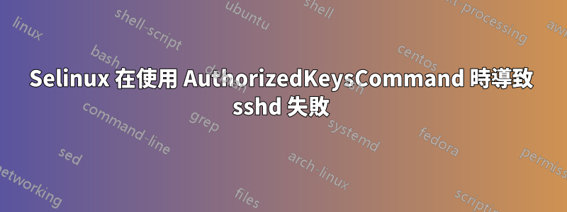 Selinux 在使用 AuthorizedKeysCommand 時導致 sshd 失敗