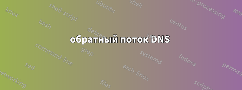 обратный поток DNS