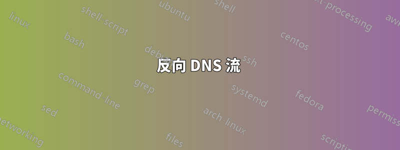 反向 DNS 流