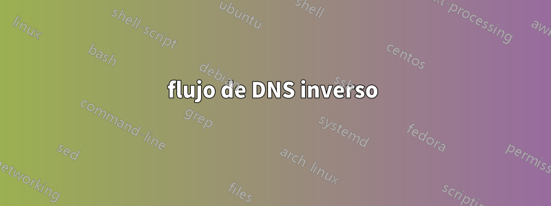 flujo de DNS inverso