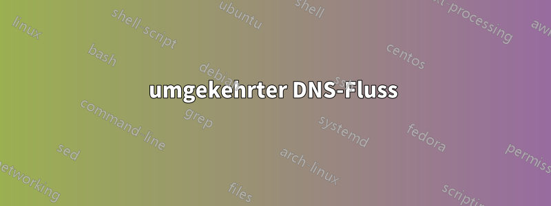 umgekehrter DNS-Fluss