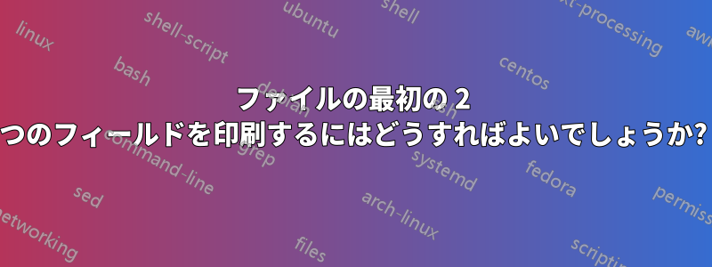 ファイルの最初の 2 つのフィールドを印刷するにはどうすればよいでしょうか?