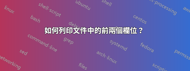 如何列印文件中的前兩個欄位？