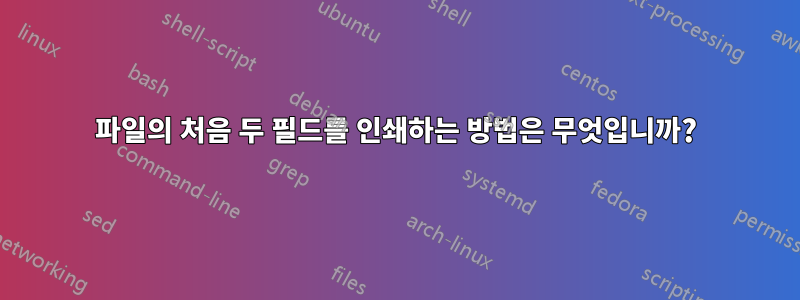 파일의 처음 두 필드를 인쇄하는 방법은 무엇입니까?