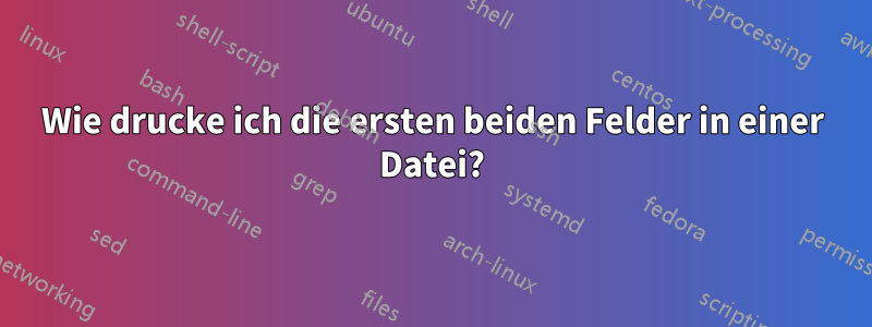 Wie drucke ich die ersten beiden Felder in einer Datei?