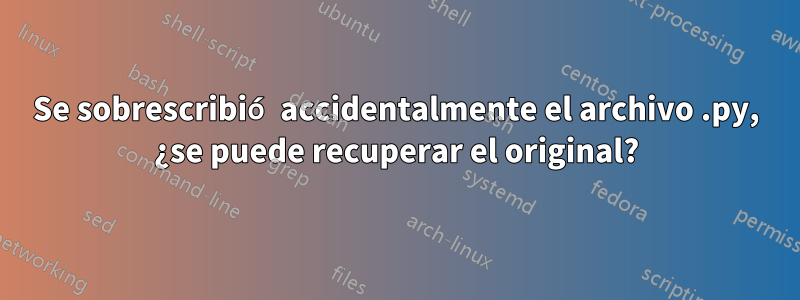 Se sobrescribió accidentalmente el archivo .py, ¿se puede recuperar el original?