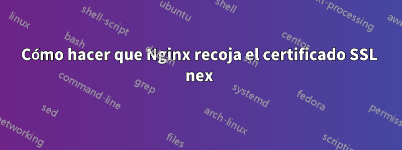 Cómo hacer que Nginx recoja el certificado SSL nex