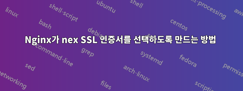 Nginx가 nex SSL 인증서를 선택하도록 만드는 방법